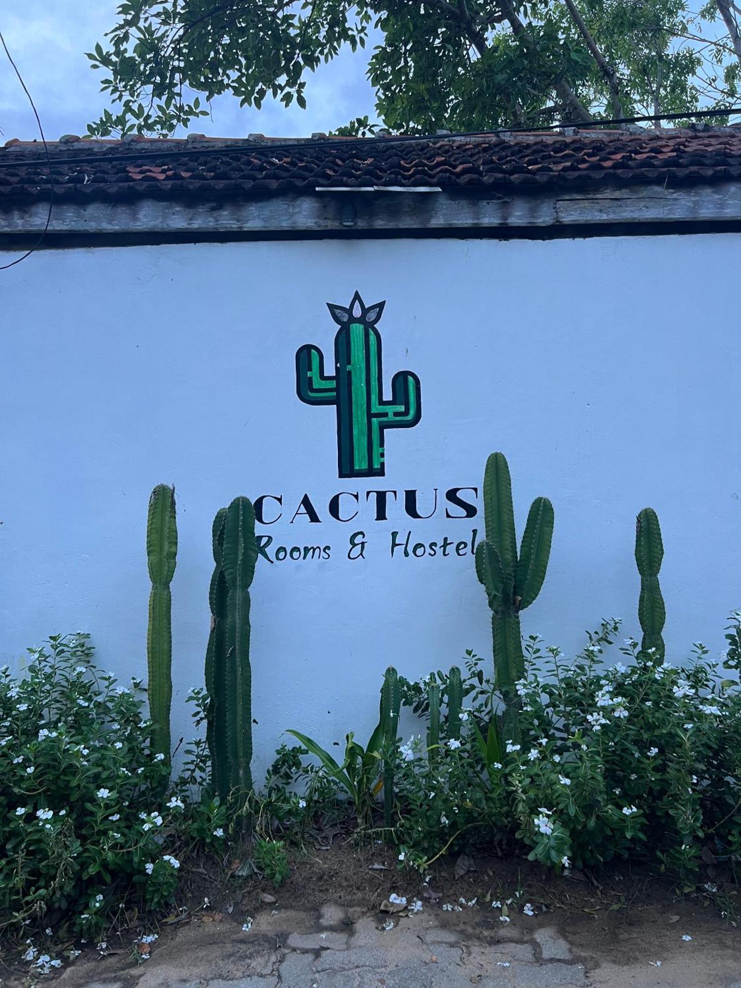 Cactus Arugambay Hostel Arugam Bay Exterior photo