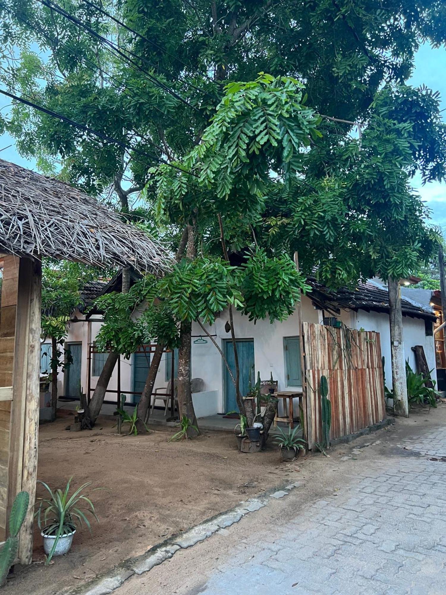 Cactus Arugambay Hostel Arugam Bay Exterior photo